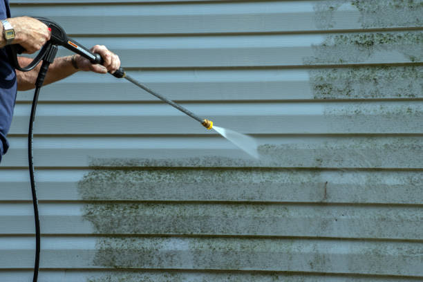Best Roof Washing  in Adel, GA